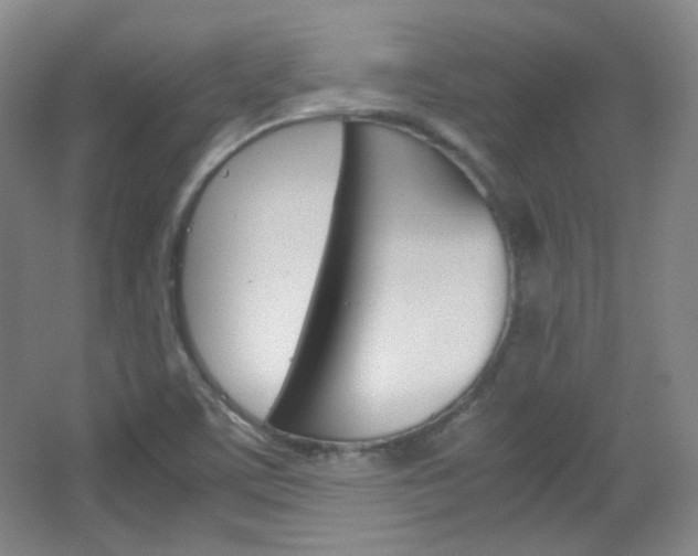 X0000067501459200604071011