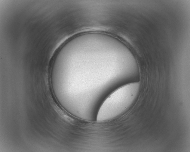 X0000067501460200604071011