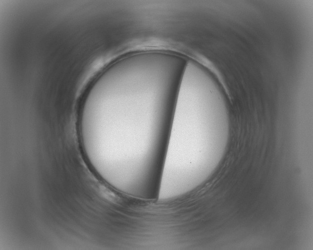 X0000067501464200604071010