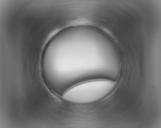 X0000067501469200604071010