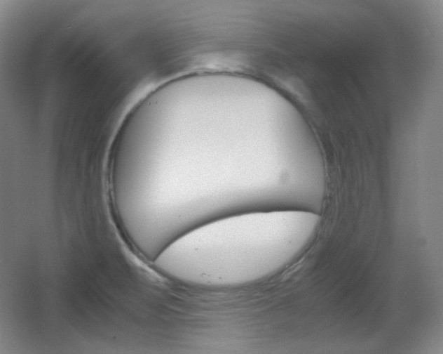 X0000067501471200604071010