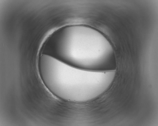 X0000067501472200604071010