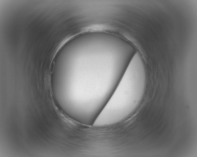 X0000067501473200604071010