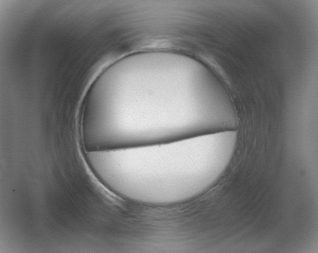 X0000067501475200604071010