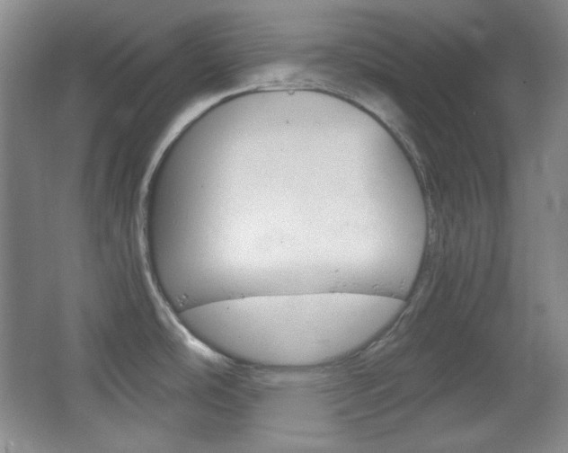 X0000067501486200604071010