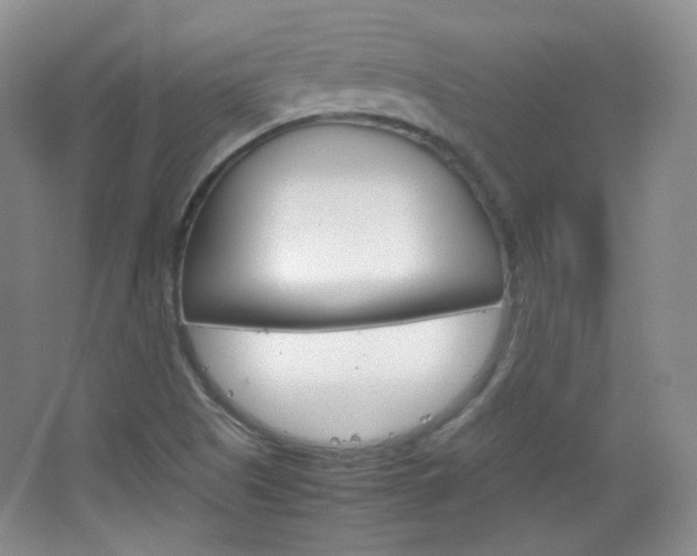 X0000067501505200604071009