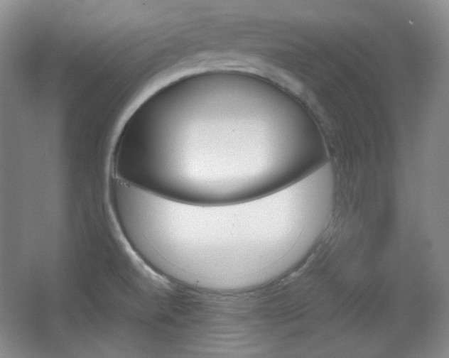 X0000067501520200604071010