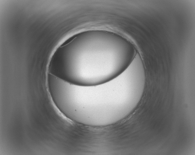 X0000067501528200604071010