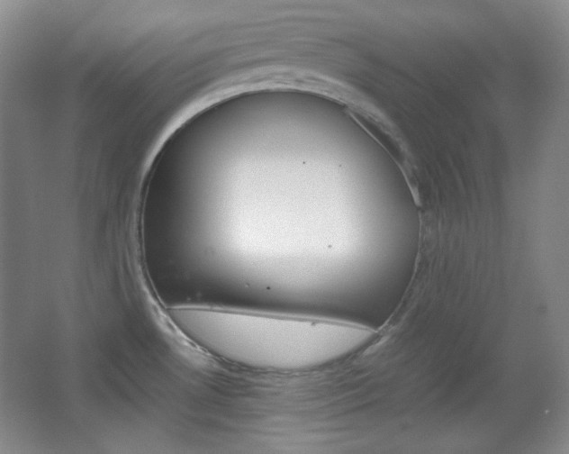 X0000067501530200604071010
