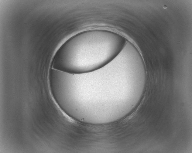 X0000067501533200604071010