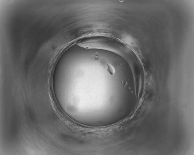 X0000067500001200604071238