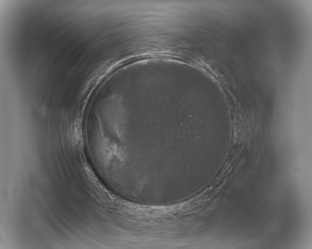 X0000067500002200604071238