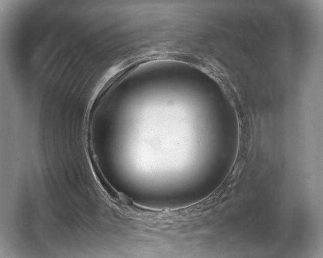 X0000067500003200604071238