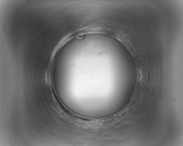 X0000067500004200604071238