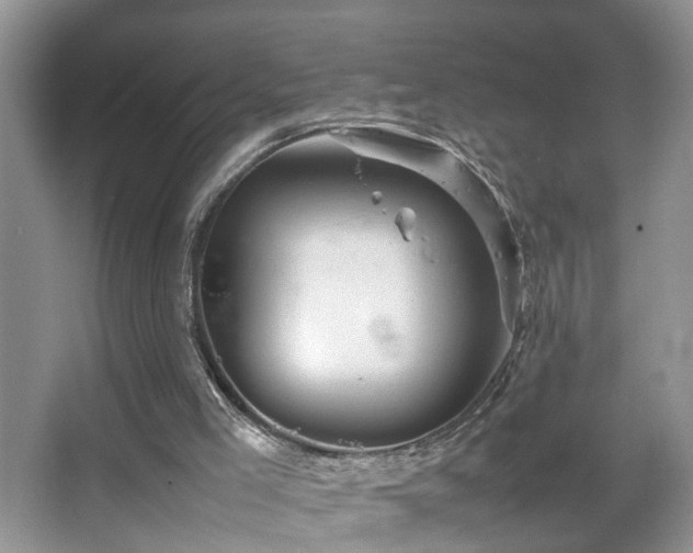 X0000067500005200604071238