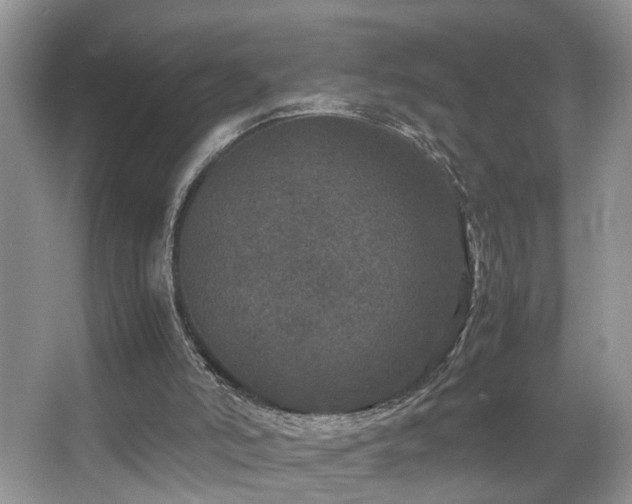 X0000067500006200604071238