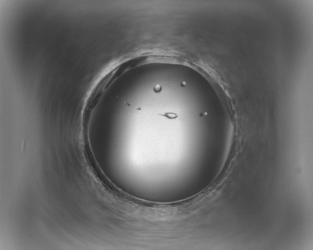 X0000067500008200604071238