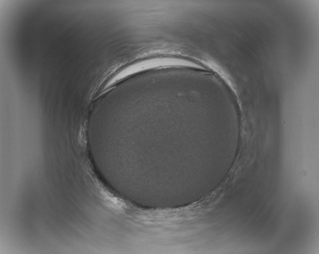 X0000067500009200604071238