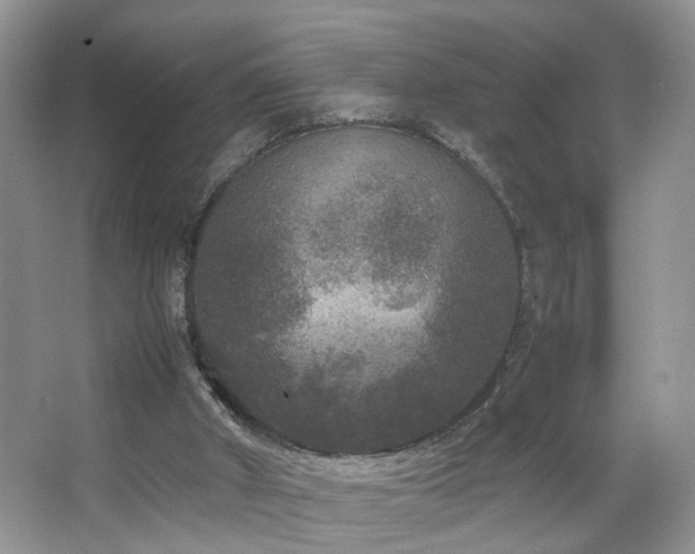 X0000067500010200604071238