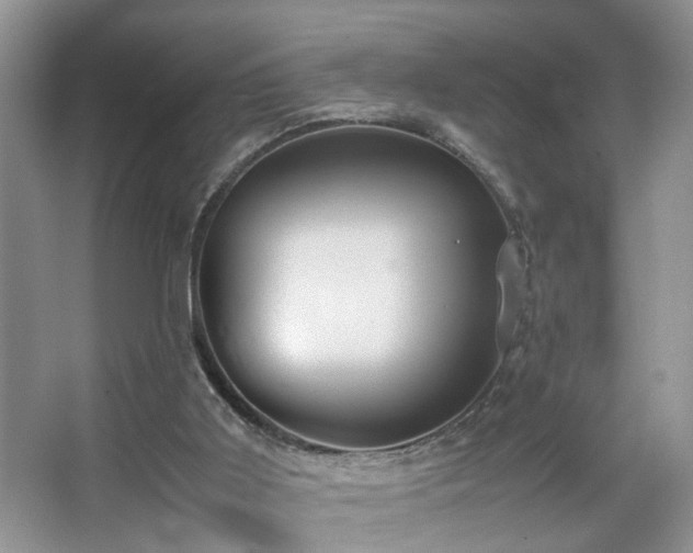 X0000067500011200604071238