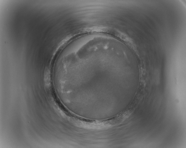 X0000067500012200604071238