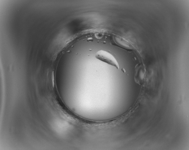 X0000067500013200604071238