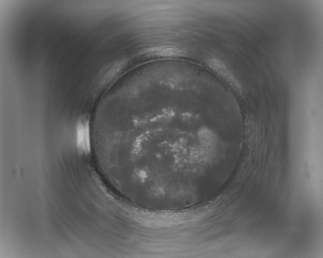 X0000067500014200604071238