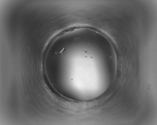 X0000067500015200604071238