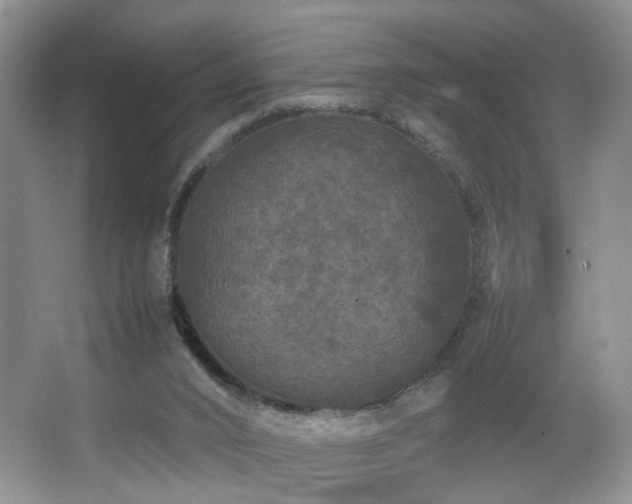 X0000067500016200604071238