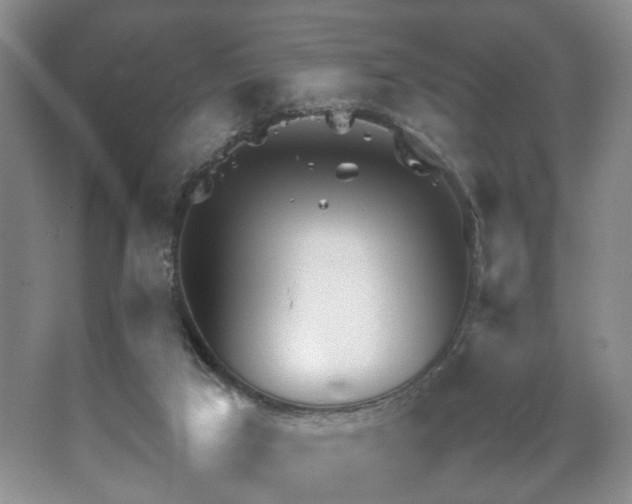 X0000067500017200604071238