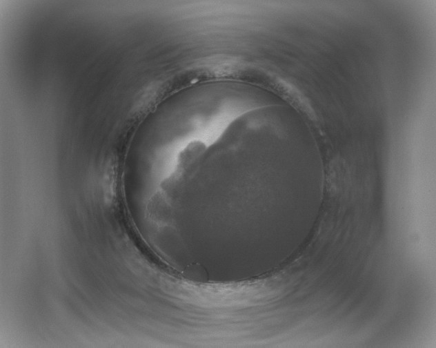 X0000067500018200604071238