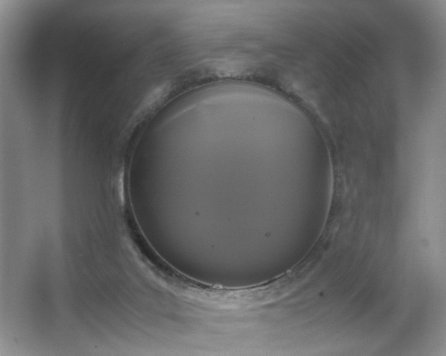 X0000067500019200604071238