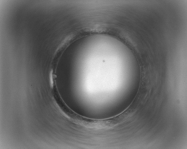 X0000067500020200604071238