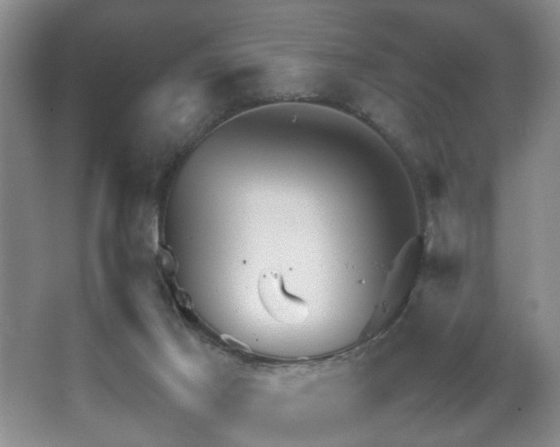 X0000067500021200604071238