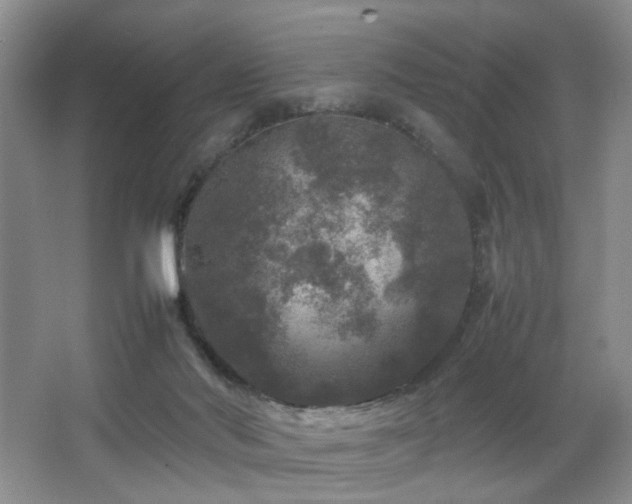 X0000067500022200604071238