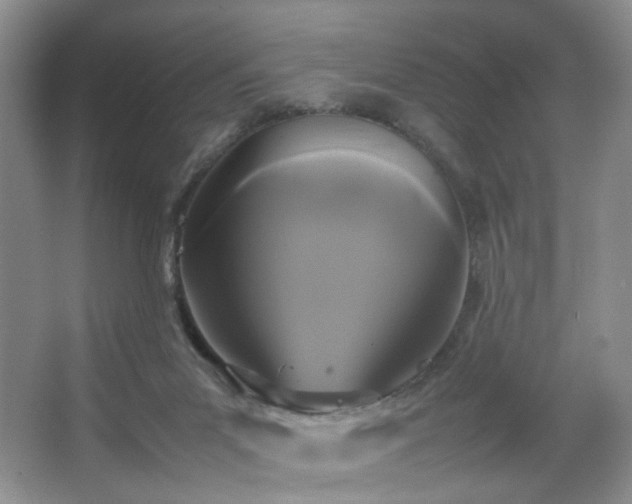 X0000067500023200604071238