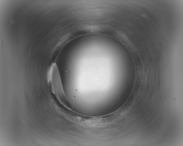 X0000067500024200604071238