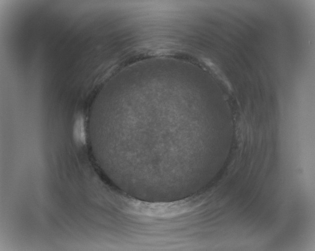 X0000067500026200604071238