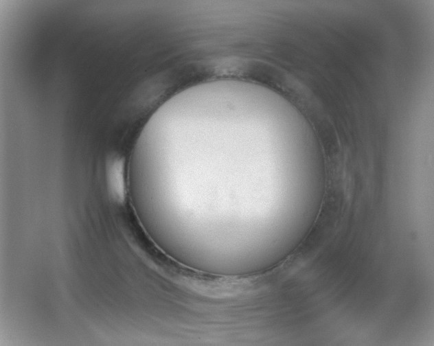 X0000067500028200604071238