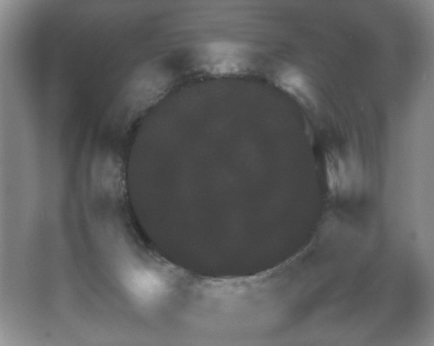 X0000067500029200604071238