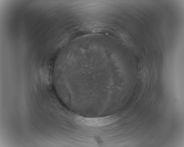 X0000067500030200604071238