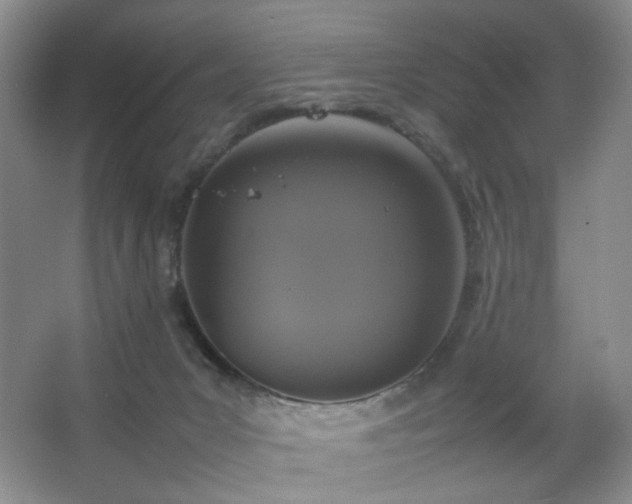 X0000067500031200604071238