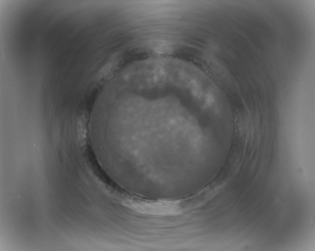 X0000067500032200604071238