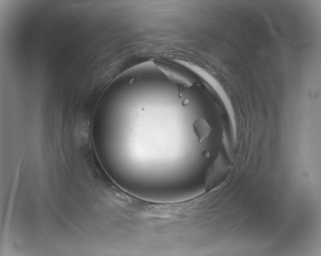 X0000067500033200604071238