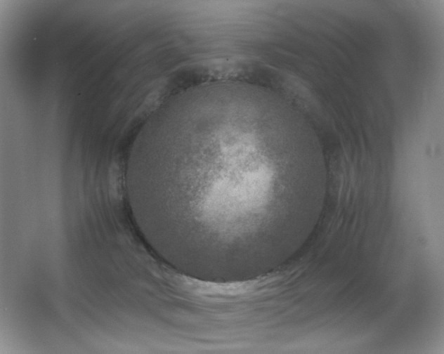 X0000067500034200604071238