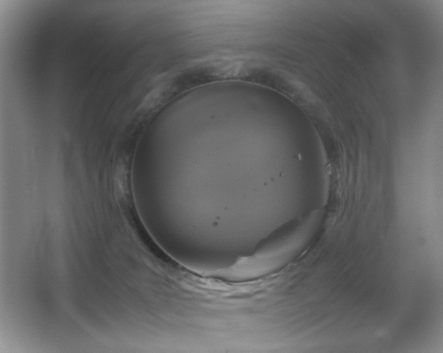 X0000067500035200604071238