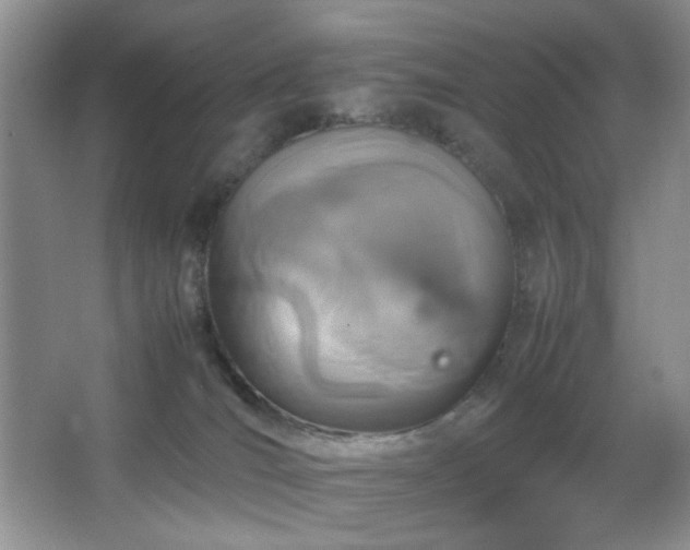 X0000067500036200604071238