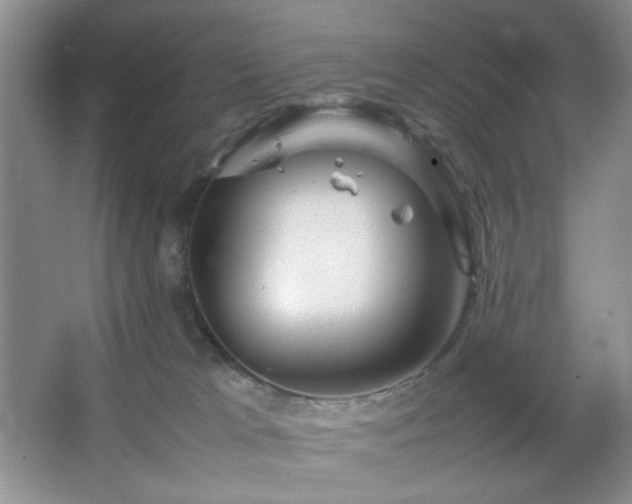 X0000067500037200604071238