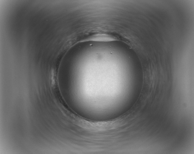 X0000067500038200604071238