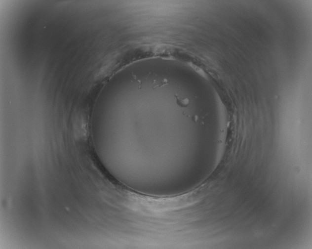 X0000067500039200604071238